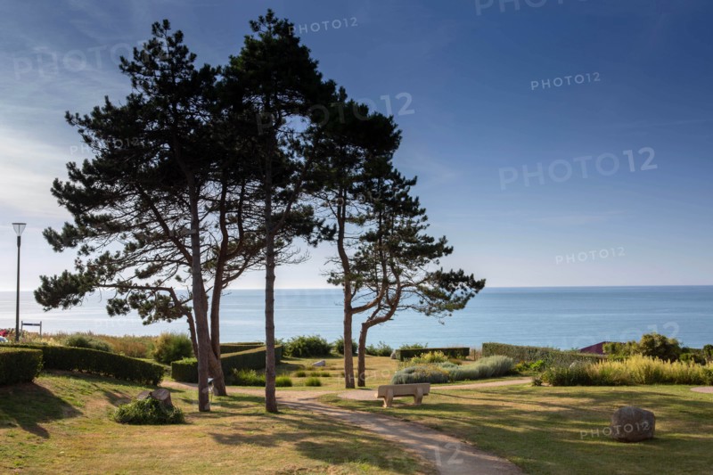 Saint-Martin-en-Campagne, Seine Maritime