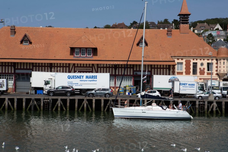 Deauville fishing harbour