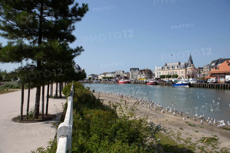 Docked trawlers, Trouville-sur-Mer