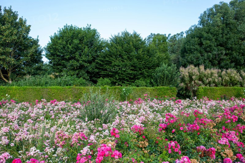 Jardin des personnalités à Honfleur