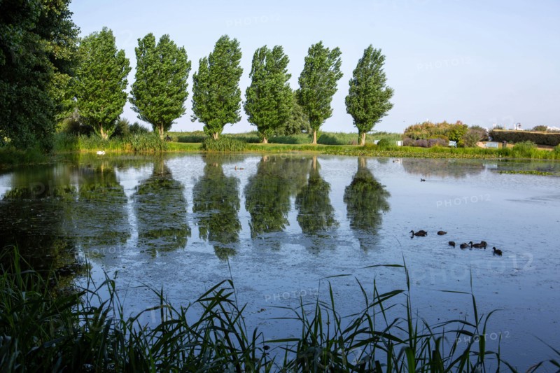Jardin des personnalités in Honfleur