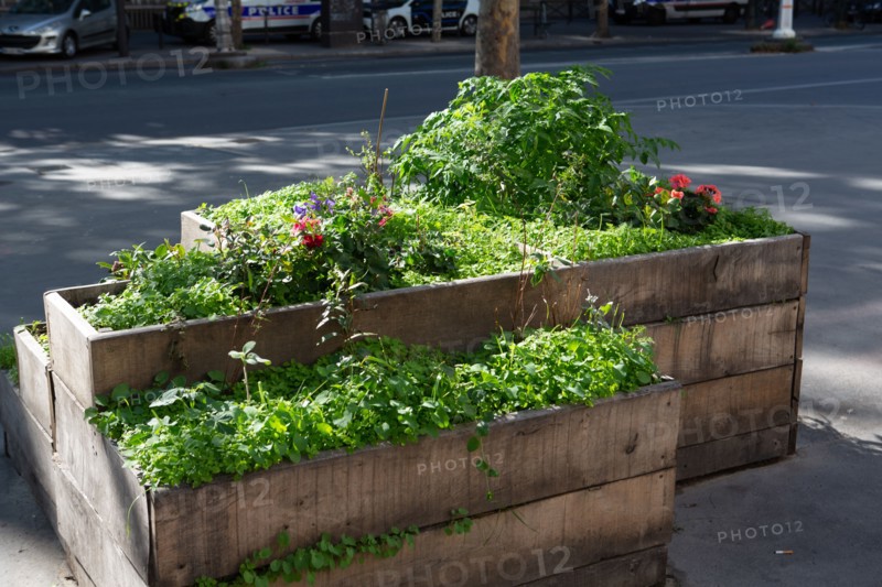 Flower box