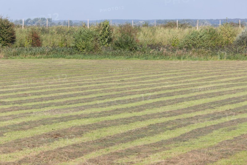 Saint-Valery-sur-Somme