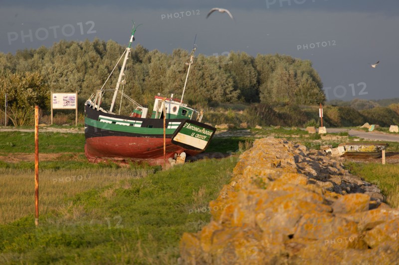 Le Crotoy