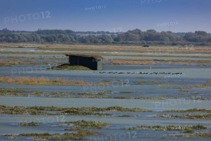 Le Crotoy