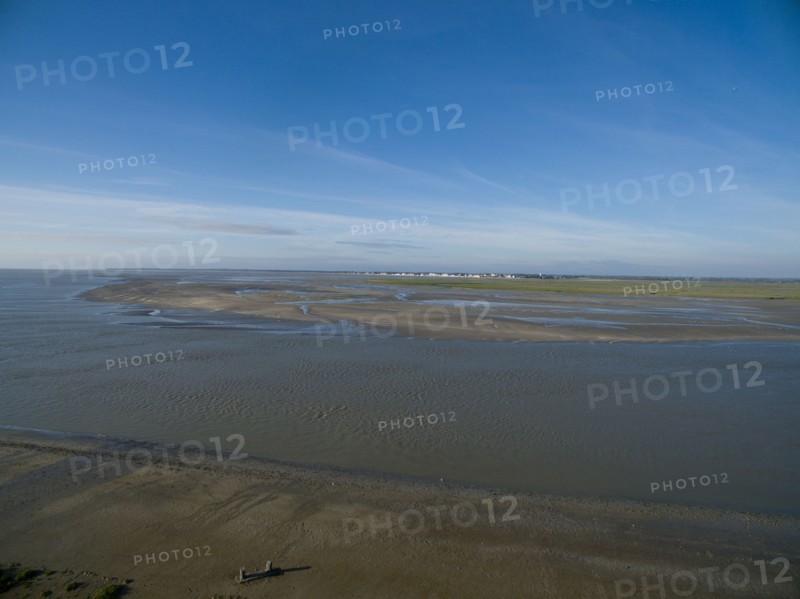 Le Bec Huron