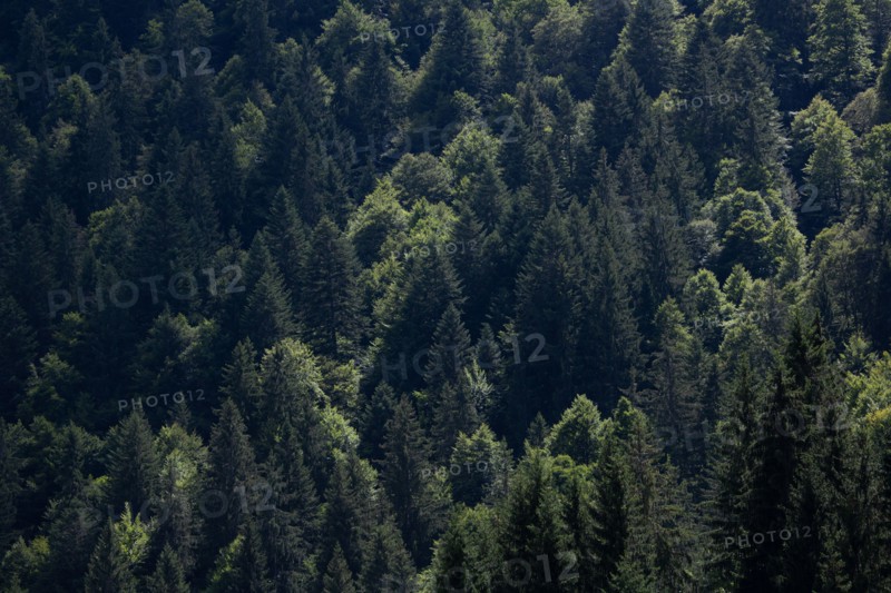 Morzine, Haute-Savoie