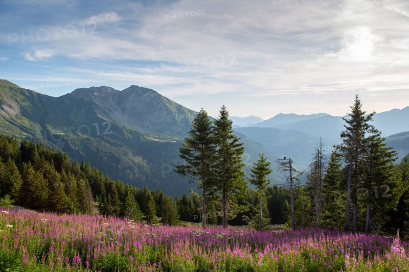 Avoriaz, Haute-Savoie