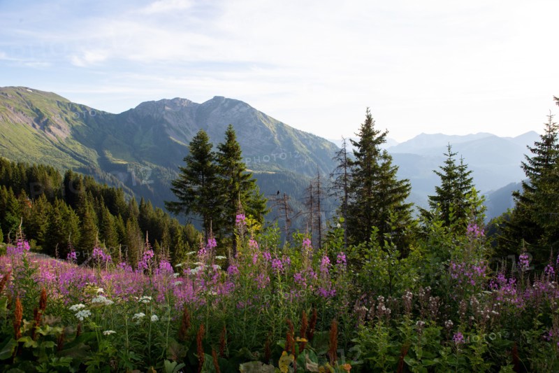 Avoriaz, Haute-Savoie