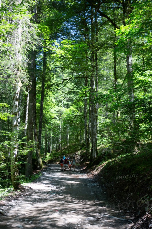 Montriond, Haute-Savoie, cascade d'Ardent
