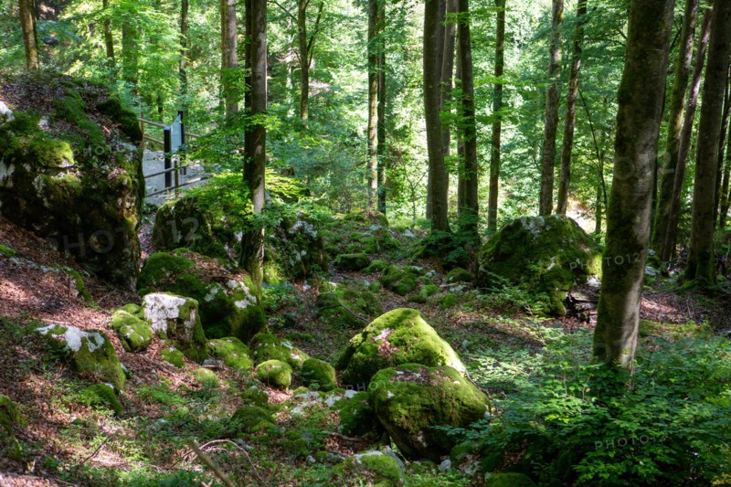 La Vernaz, Haute-Savoie, site des grottes du Pont du Diable