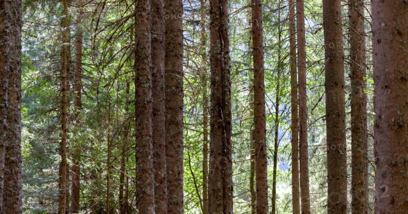 Morzine, Haute-Savoie