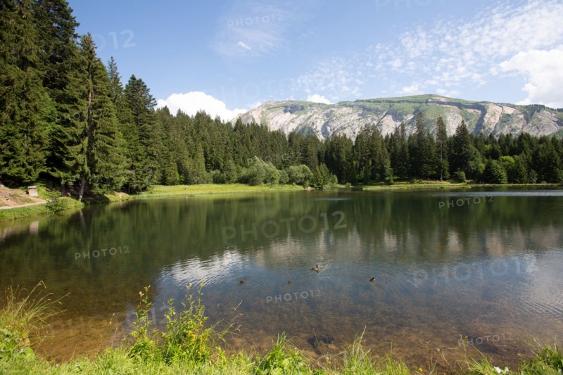 Morzine, Haute-Savoie, site du lac des Mines d'Or, le rouleau de Bostan
