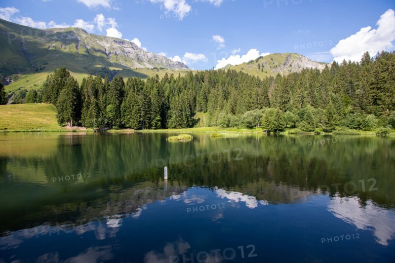 Morzine, Haute-Savoie, site du lac des Mines d'Or, le rouleau de Bostan