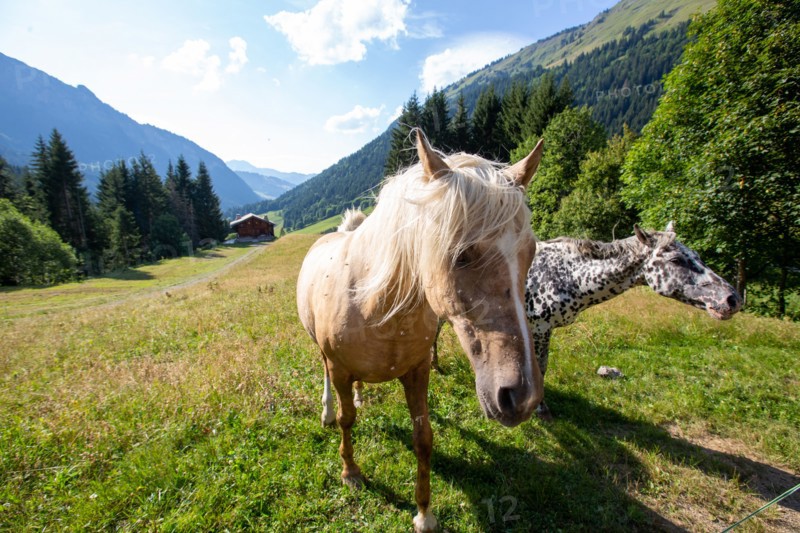 Morzine, Haute-Savoie, along the Dranse river in Morzine from the Lac des Mines d'Or