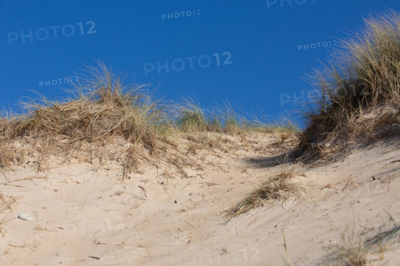 Dunes de Biville (Manche)