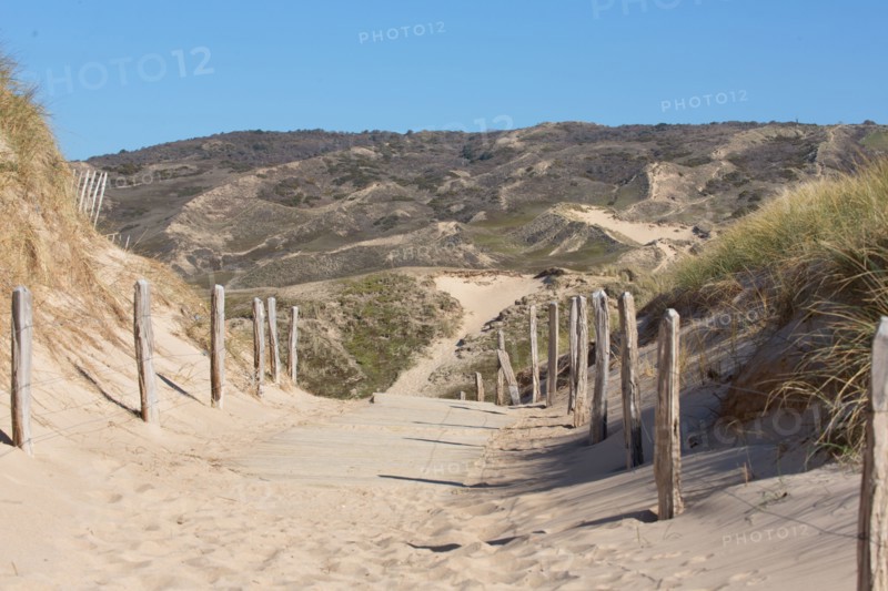 Dunes de Biville (Manche)