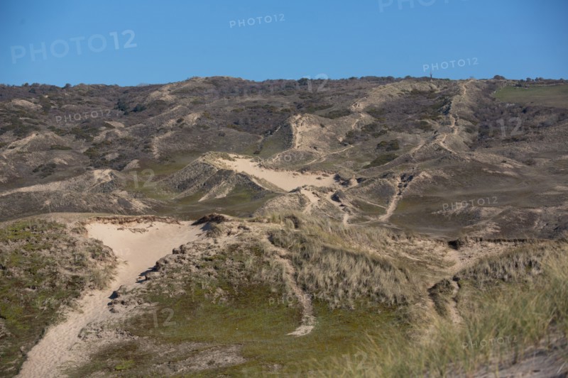 Dunes de Biville (Manche)
