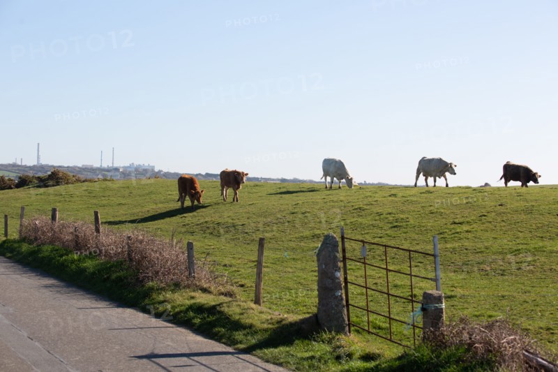 La Hague, Nez de Jobourg (Manche)