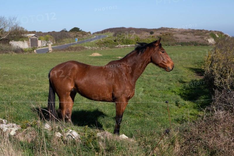 La Hague, baie de Calgrain (Manche)