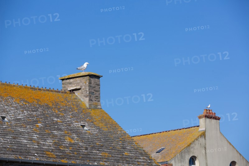 La Hague, Auderville, pointe de Goury (Manche)