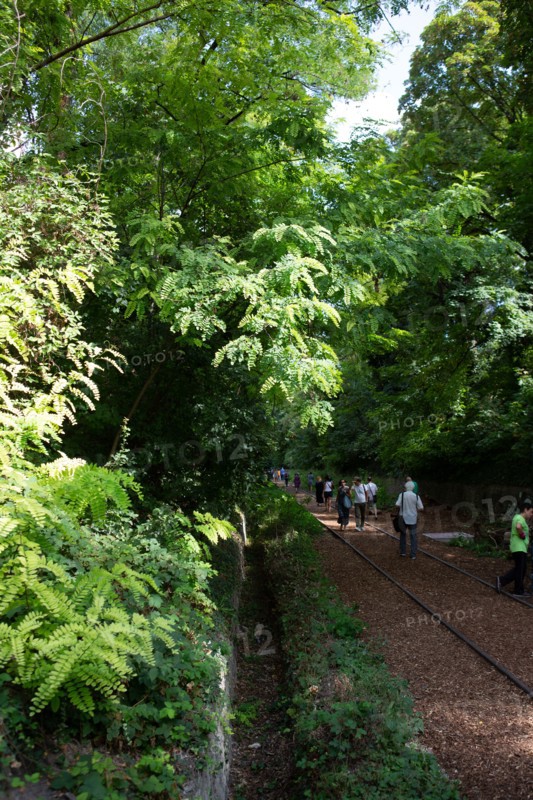 Paris, Petite Ceinture en la gare du Poinçon et la rue Didot