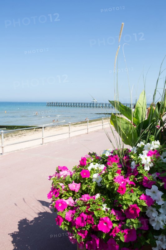 Luc-sur-Mer (Calvados)