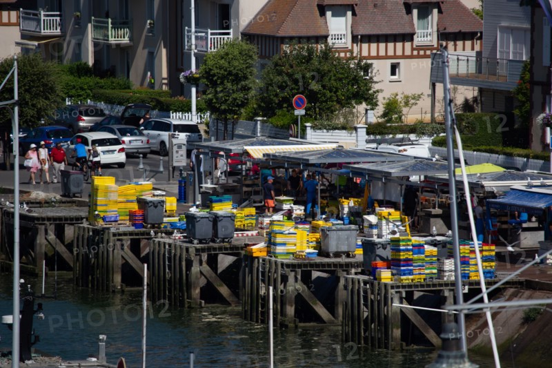 Courseulles-sur-Mer (Calvados)