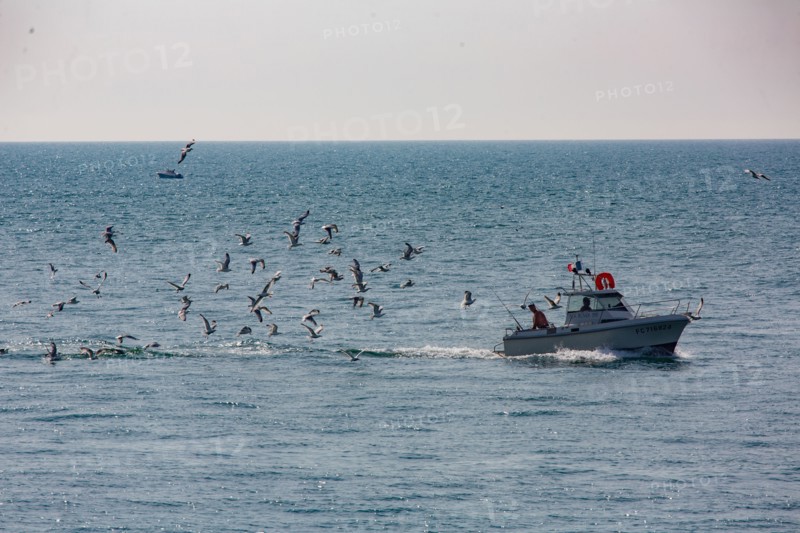 Fécamp (Seine-Maritime)
