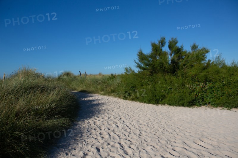 Courseulles-sur-Mer (Calvados)