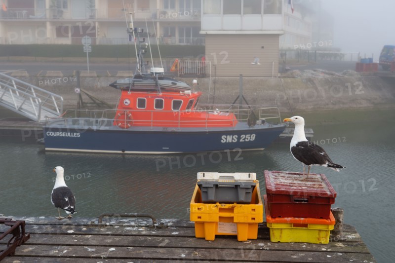 Courseulles-sur-Mer (Calvados)