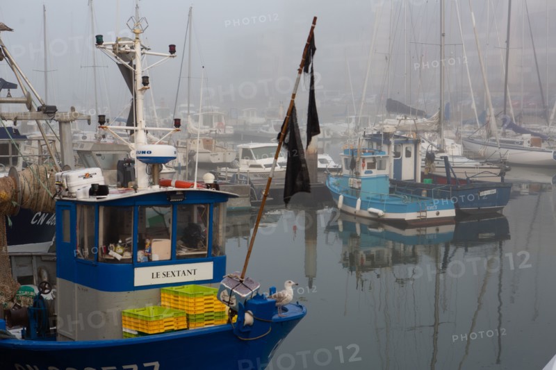Courseulles-sur-Mer (Calvados)