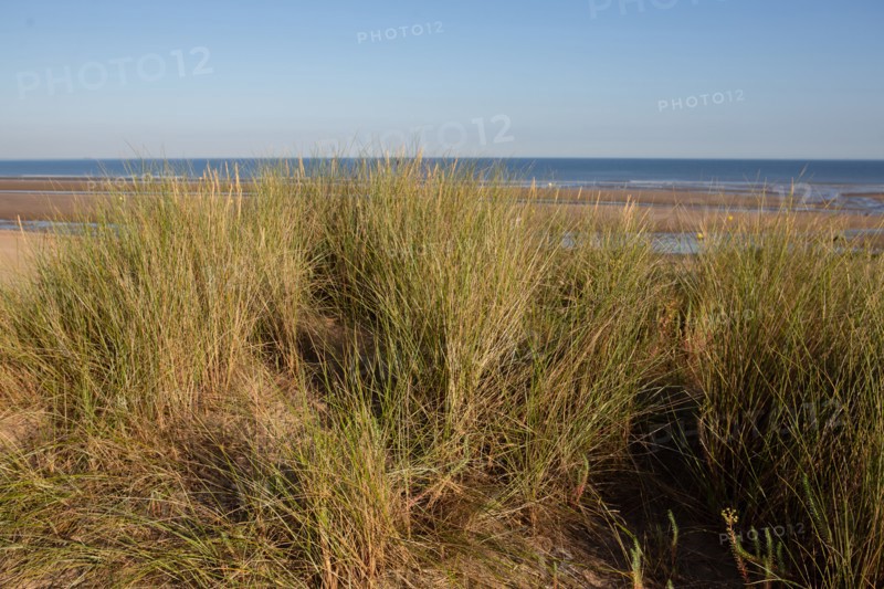 Blonville-sur-Mer (Calvados)