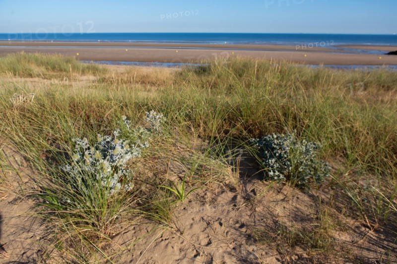 Blonville-sur-Mer (Calvados)
