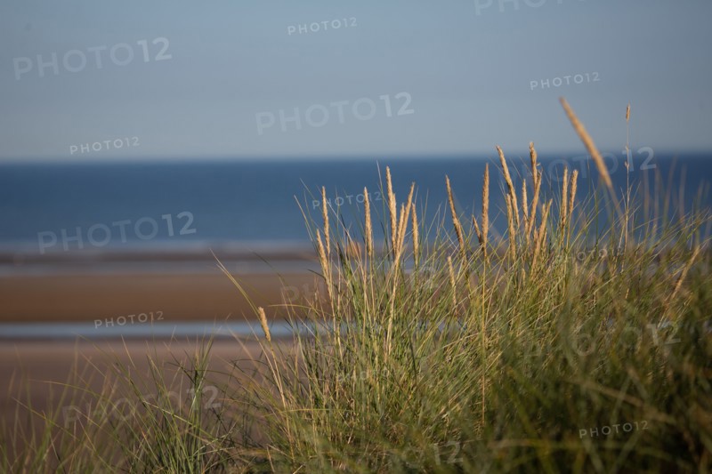 Blonville-sur-Mer (Calvados)