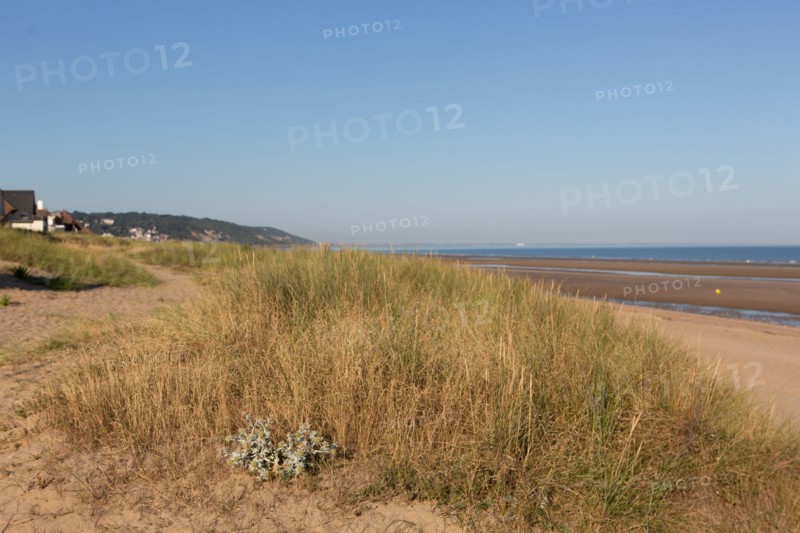 Blonville-sur-Mer (Calvados)