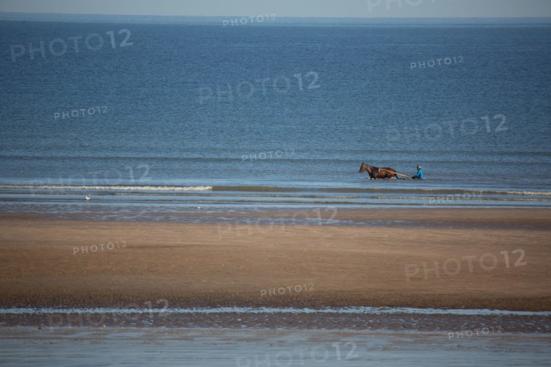 Blonville-sur-Mer (Calvados)