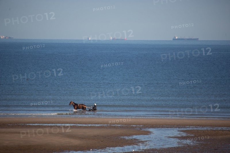 Blonville-sur-Mer (Calvados)