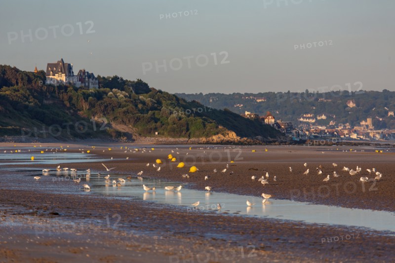 Deauville (Calvados)