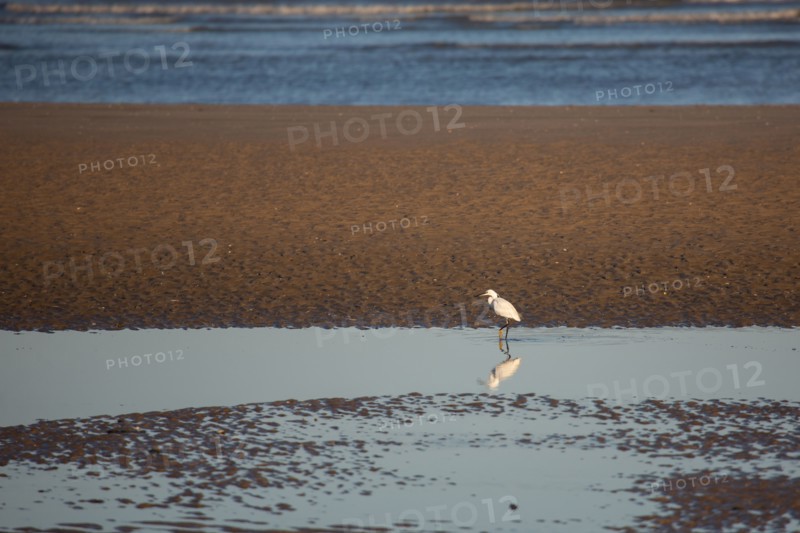 Blonville-sur-Mer (Calvados)