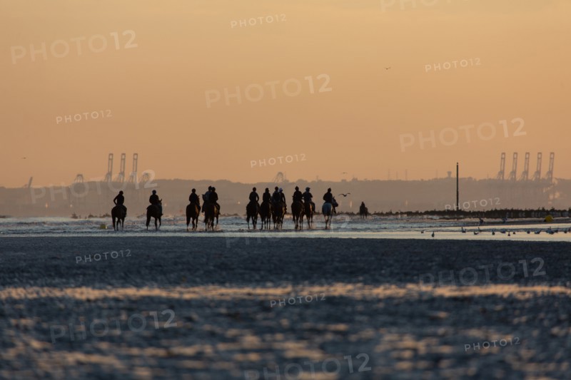 Deauville (Calvados)