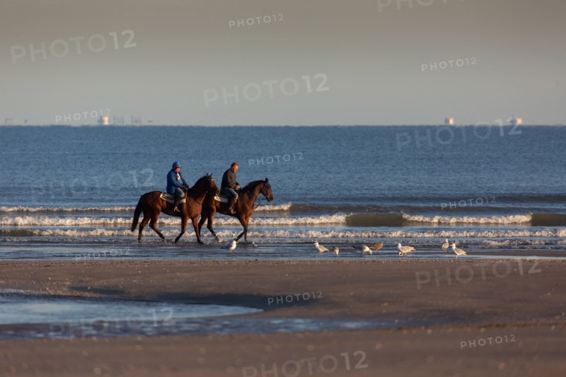 Deauville (Calvados)