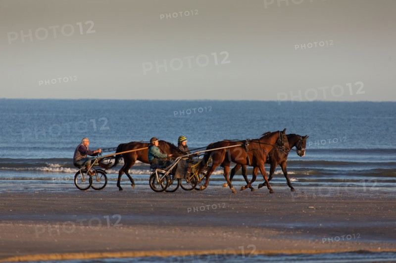 Deauville (Calvados)