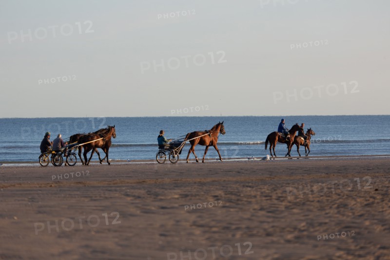 Deauville (Calvados)