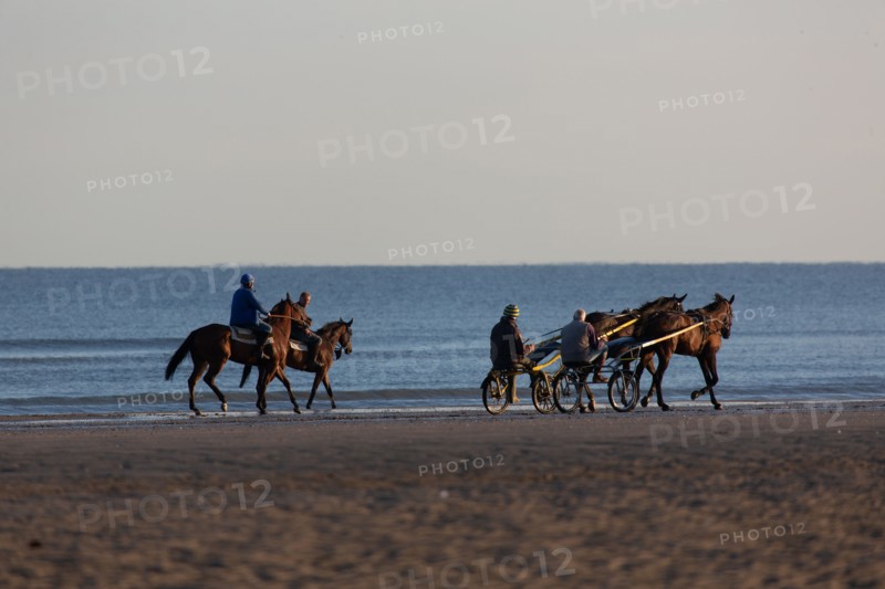 Deauville (Calvados)