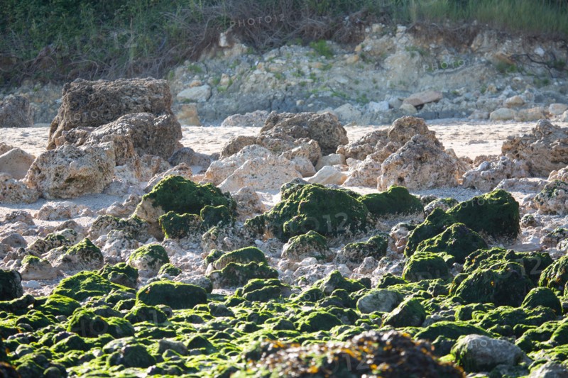 Benerville-sur-Mer (Calvados)