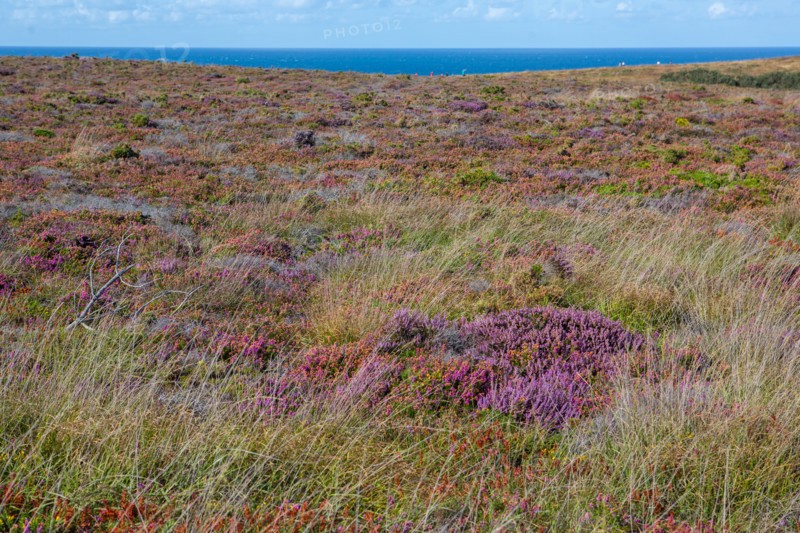 Cap d'Erquy (Côtes d'Armor)