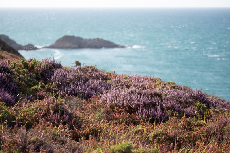 Cap d'Erquy (Côtes d'Armor)