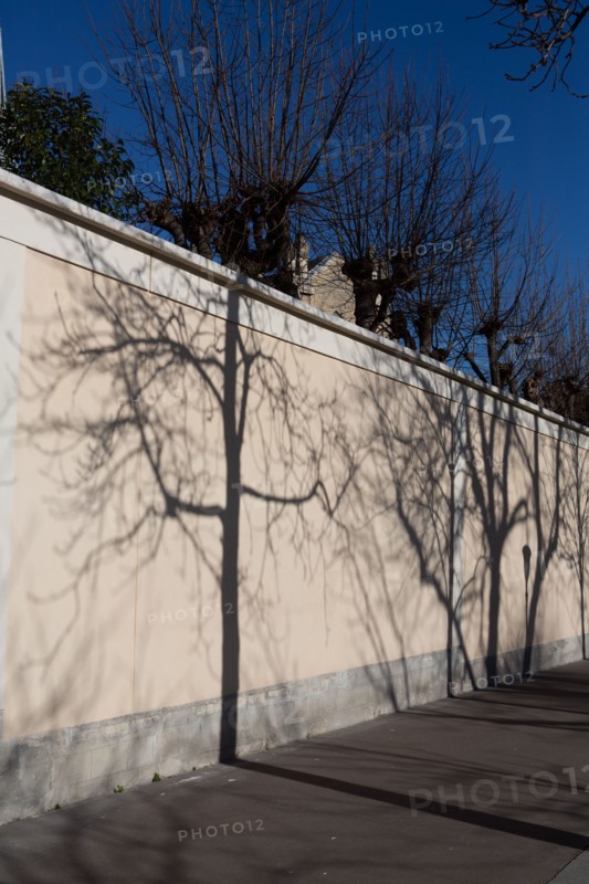 Paris, projected shadow