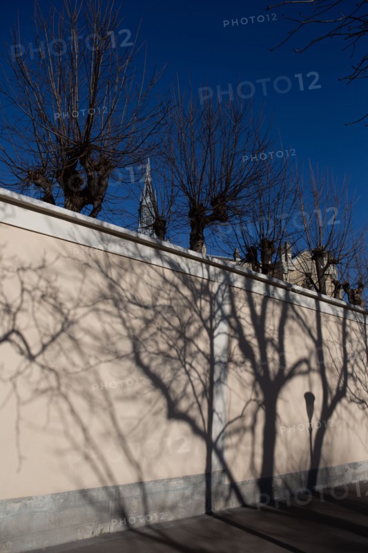 Paris, projected shadow